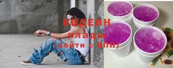 крисы Бронницы