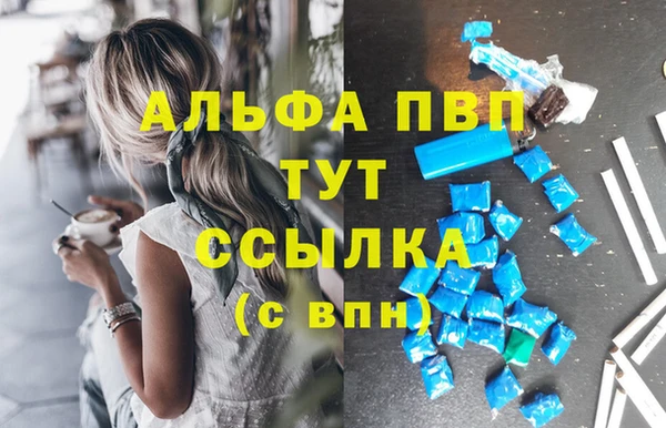 крисы Бронницы