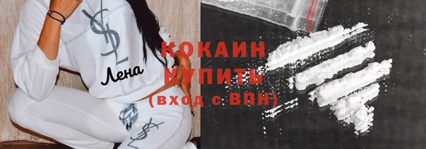 крисы Бронницы