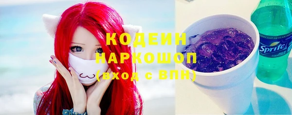 крисы Бронницы