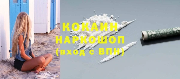 не бодяженный Бородино