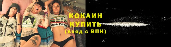 крисы Бронницы