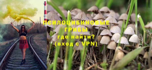 прущие крисы Бугульма