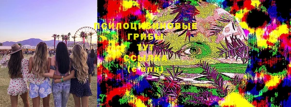 крисы Бронницы