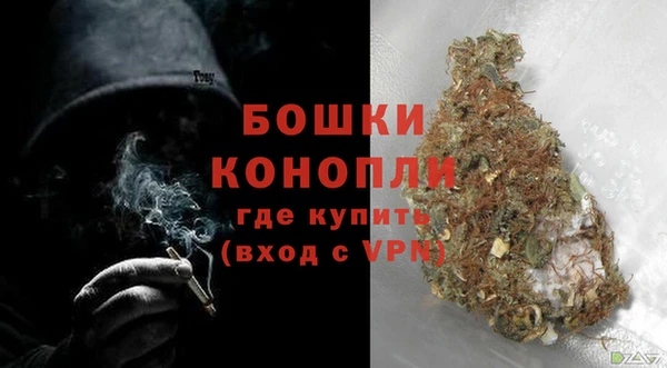 крисы Бронницы